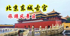 黄片儿真人版中国北京-东城古宫旅游风景区